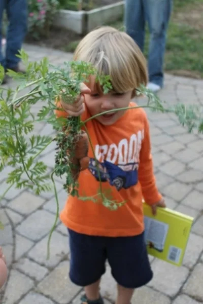 We love getting kids involved in the garden. It just so happens that most kids love gardening too. As Rachel Carson wrote, “If a child is to keep alive his inborn sense of wonder, he needs the companionship of at least one adult who can share it, rediscovering with him the joy, excitement, and mystery of the world we live in.” One of the greatest gifts we can give our children and future generations is a healthy relationship to the earth, as well as a healthy connection to their food.