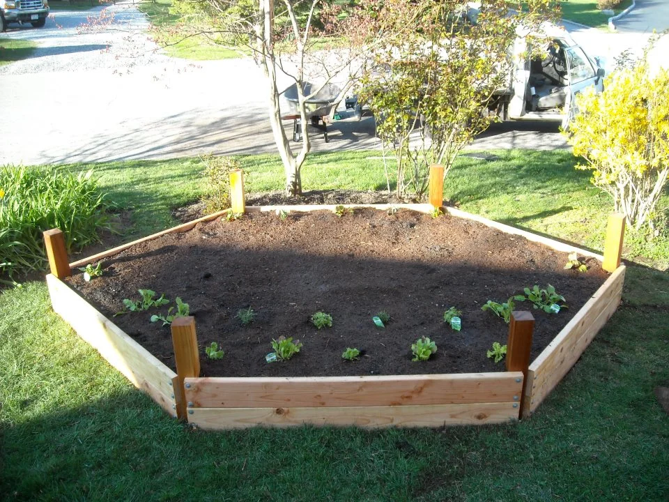 Raised Bed - Hexagon Shape
