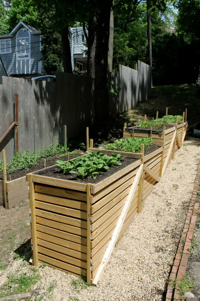 Kitchen Garden
