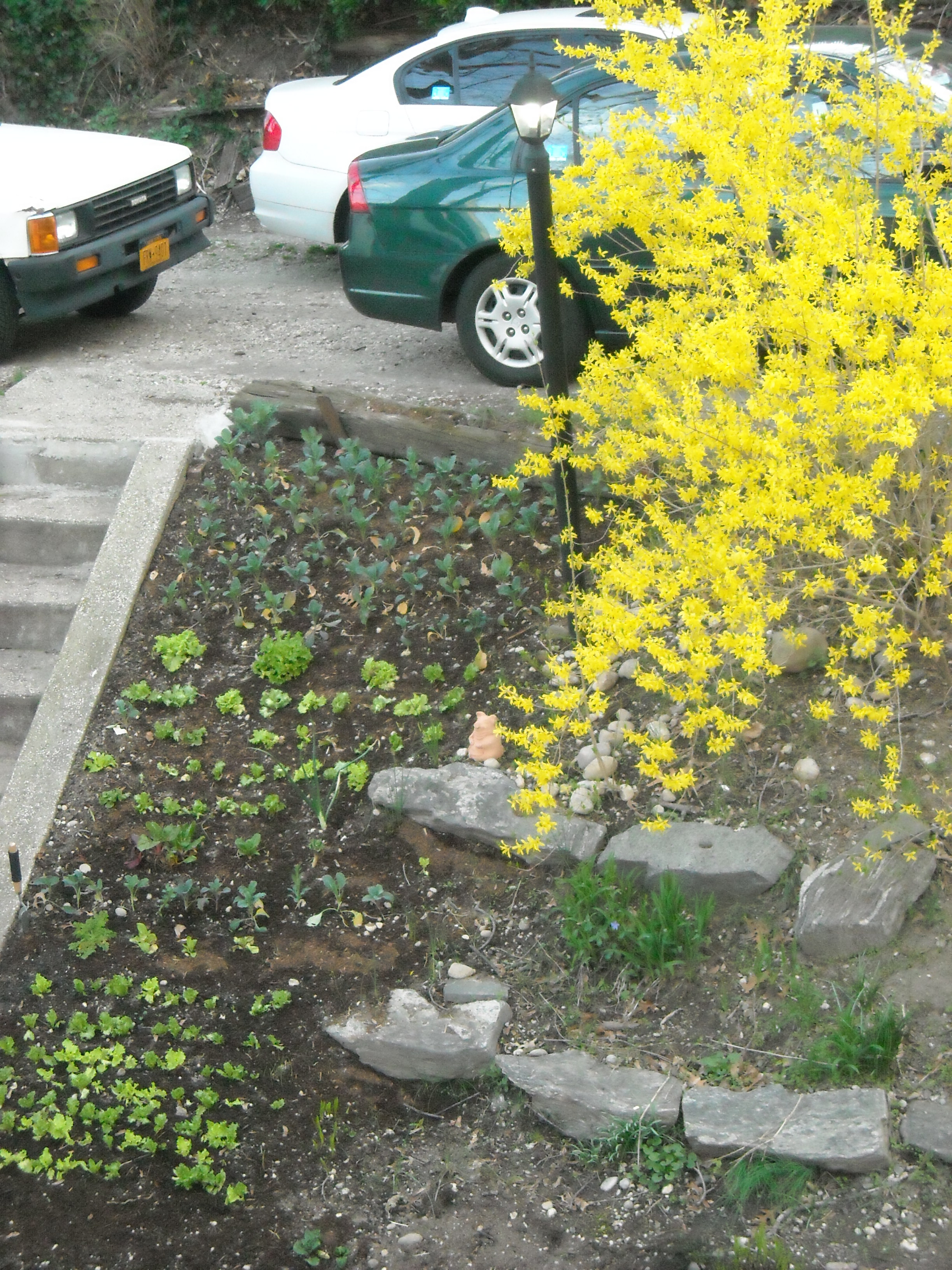 spring 2012 084.jpg