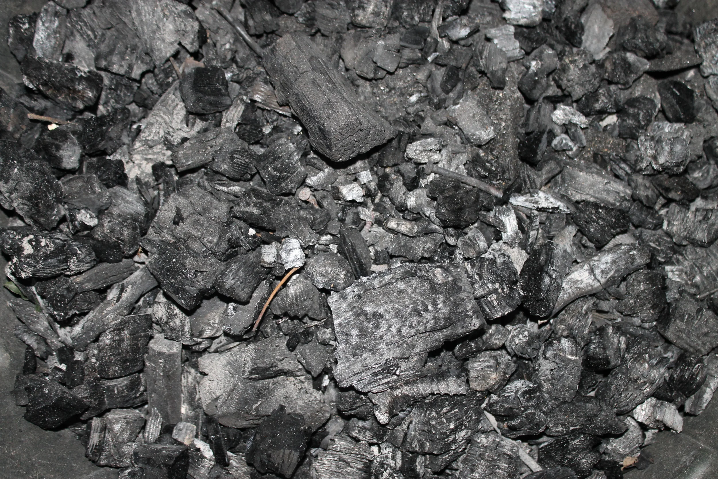 biochar (hallelujah!) 