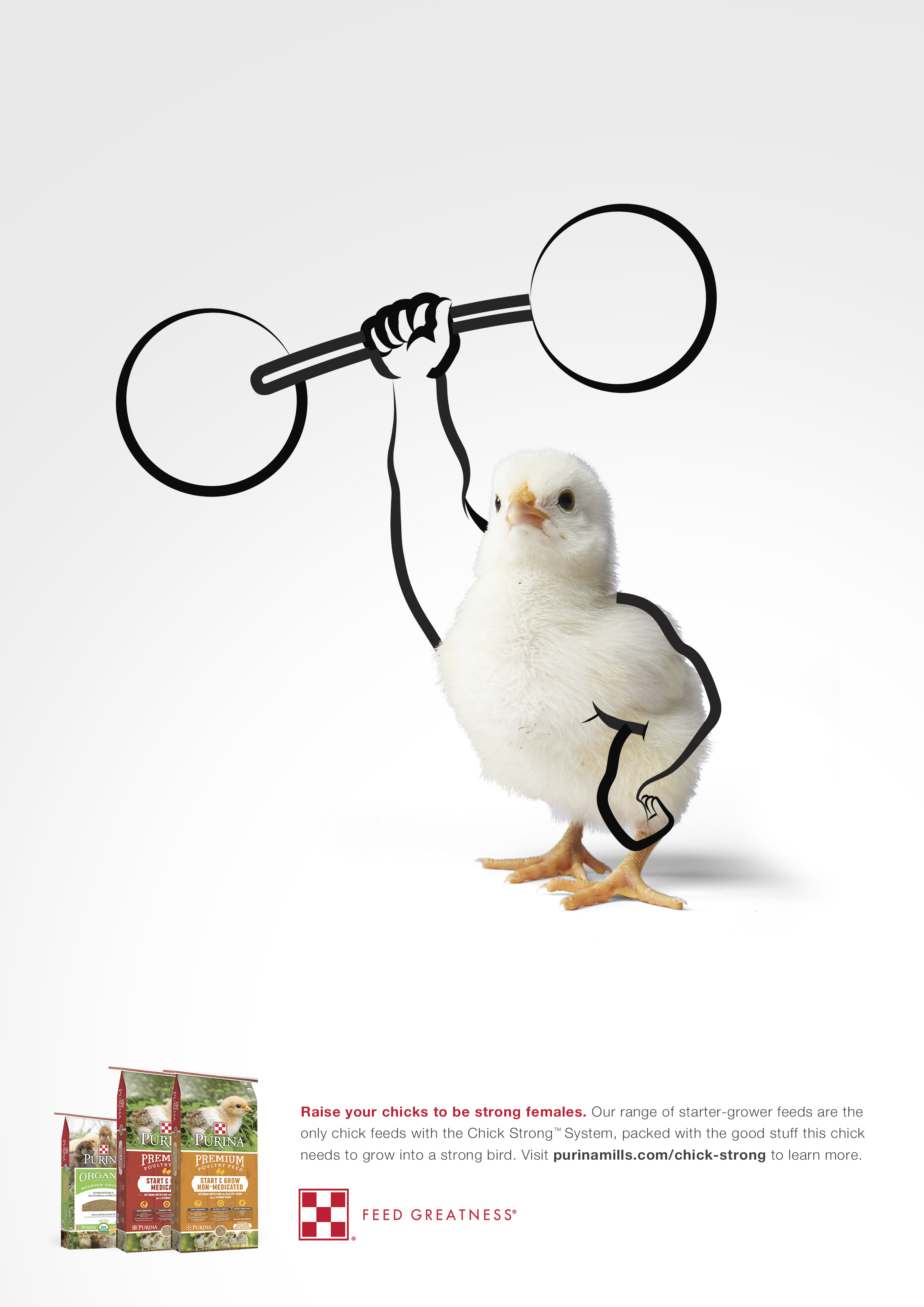ChickStrong.jpg