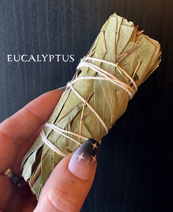 Eucalyptus2.jpg
