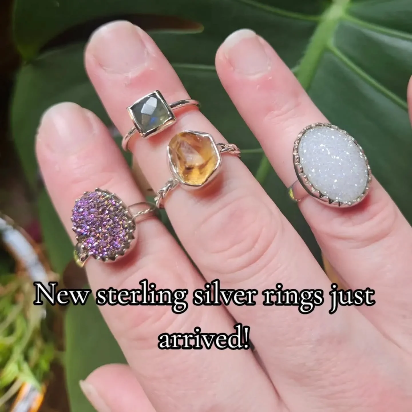 New sterling silver rings just arrived to the shop! 😱😍 Come see for yourself and contact us with any questions or for shipping. 

#witchesofinstagram #witchjewelry #metaphysicalshop #jewelry #shopsmall