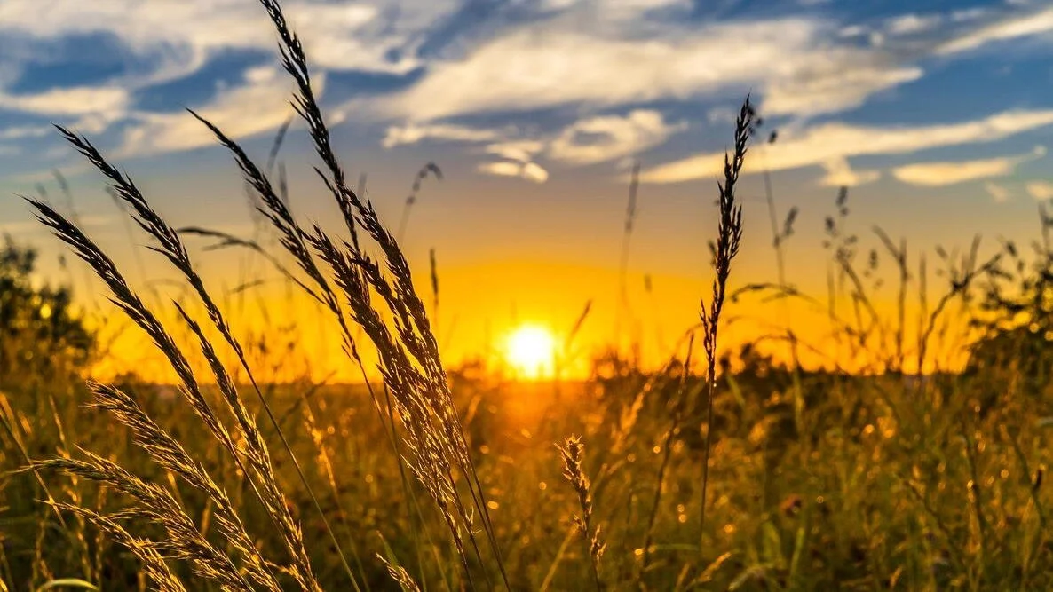 summer-sunset.jpg