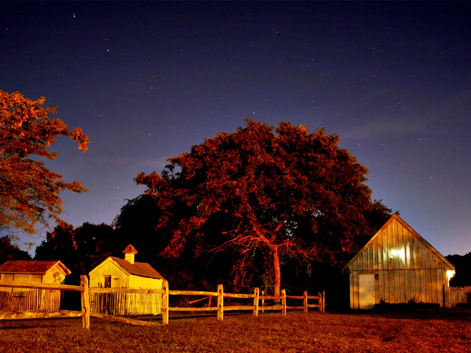 photography06.jpg