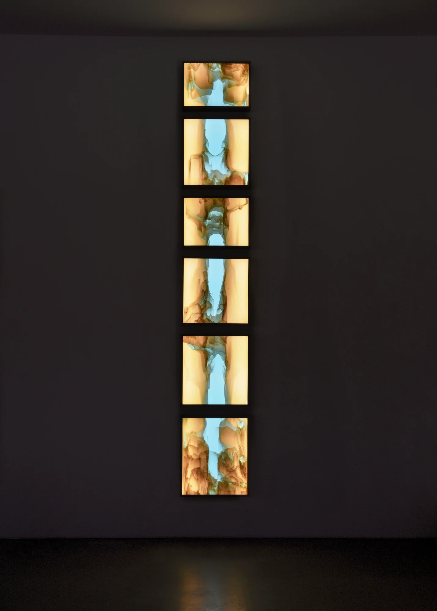 VidereLicet_Meltform1_dark.jpg