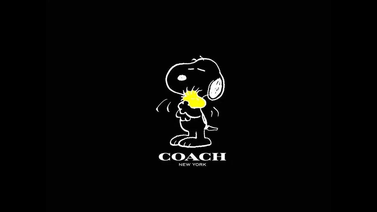 Coach x Peanuts