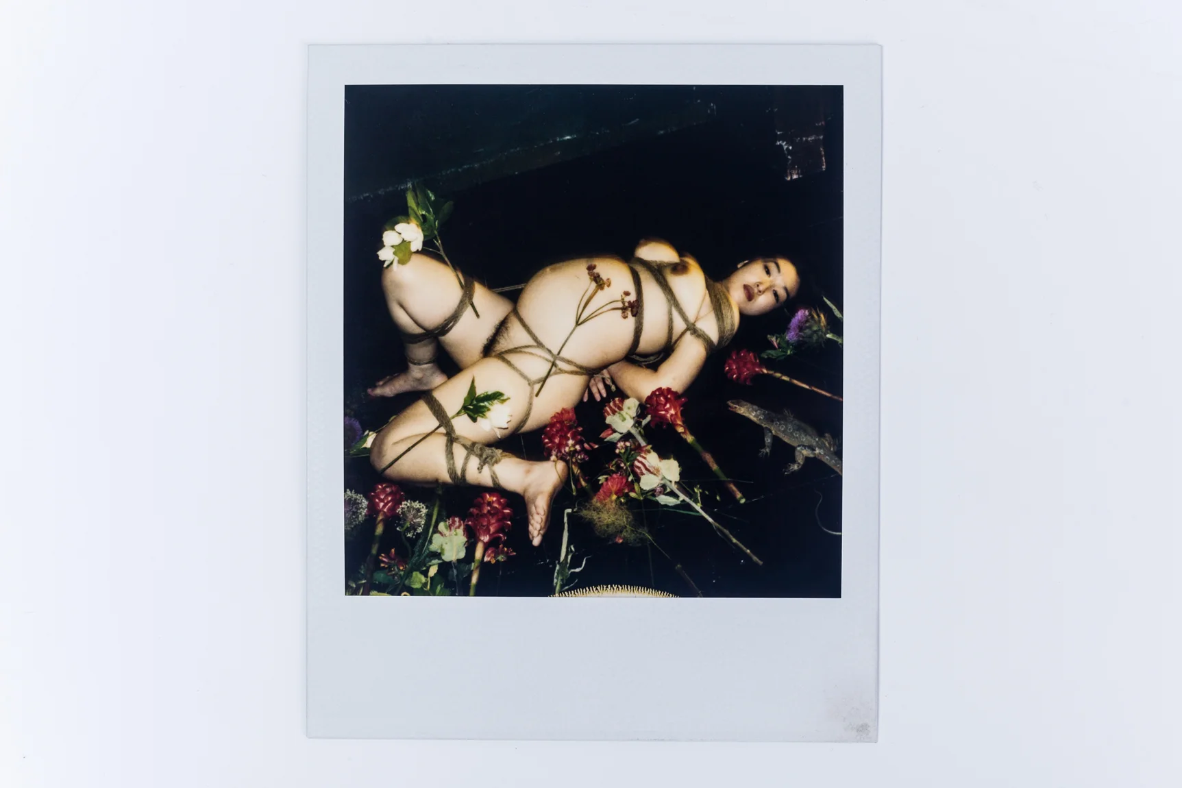 Exceptional Photo Polaroid by Nobuyoshi Araki 1996 nude pregnant model in bondage with flowers and plastic lizards, Japan 1990s