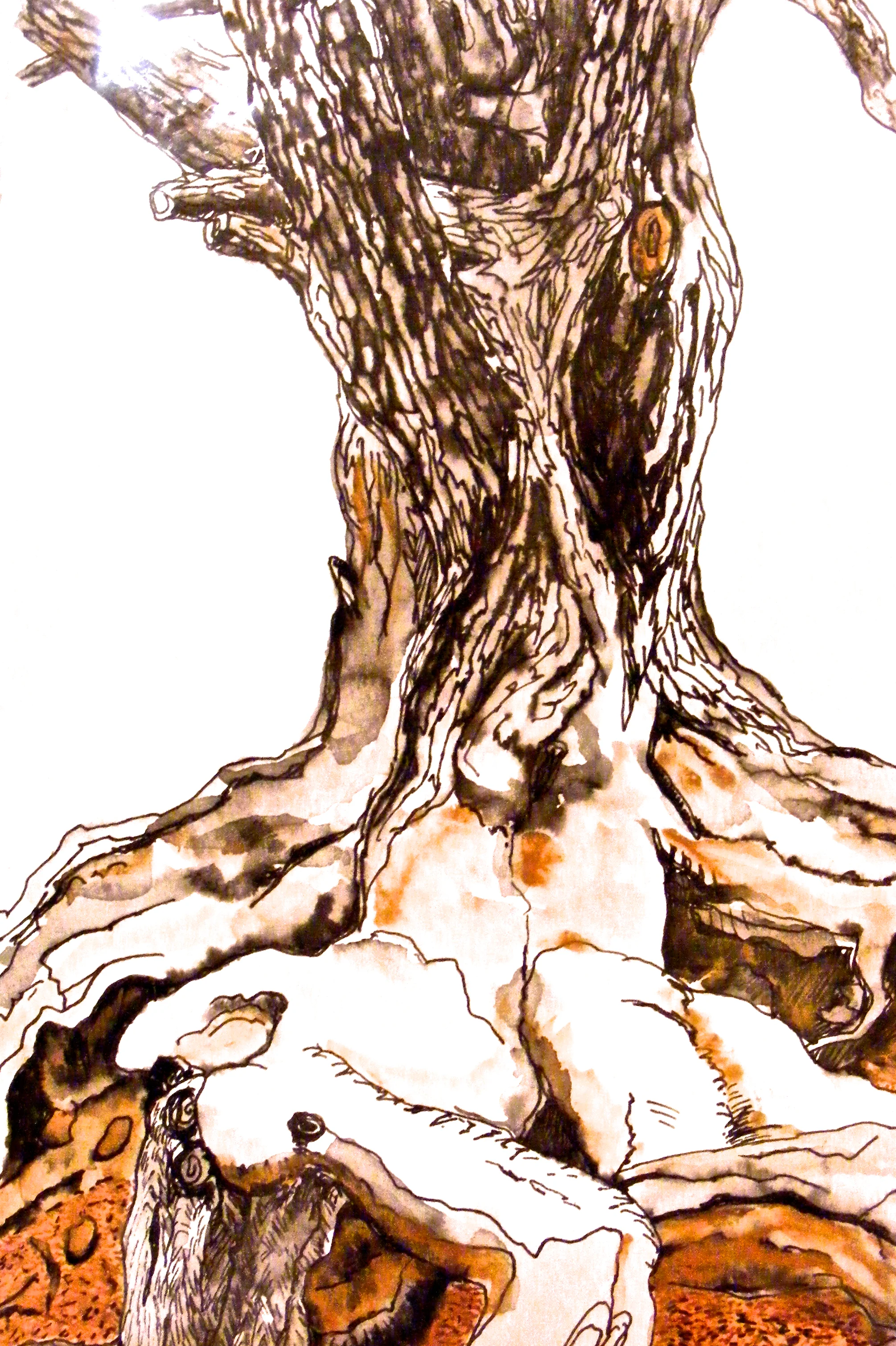 Tree #3
