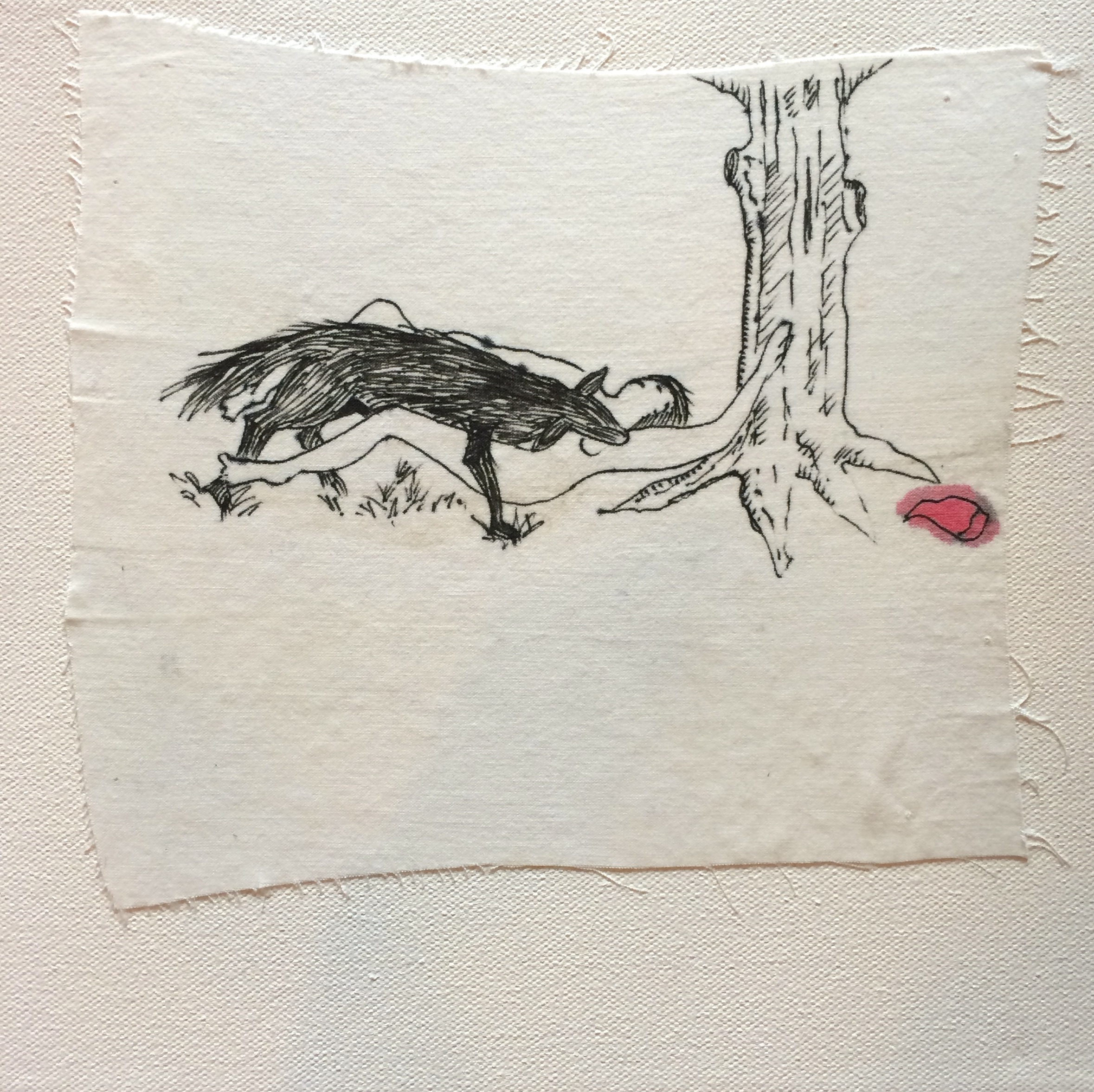Red Riding Hood 5