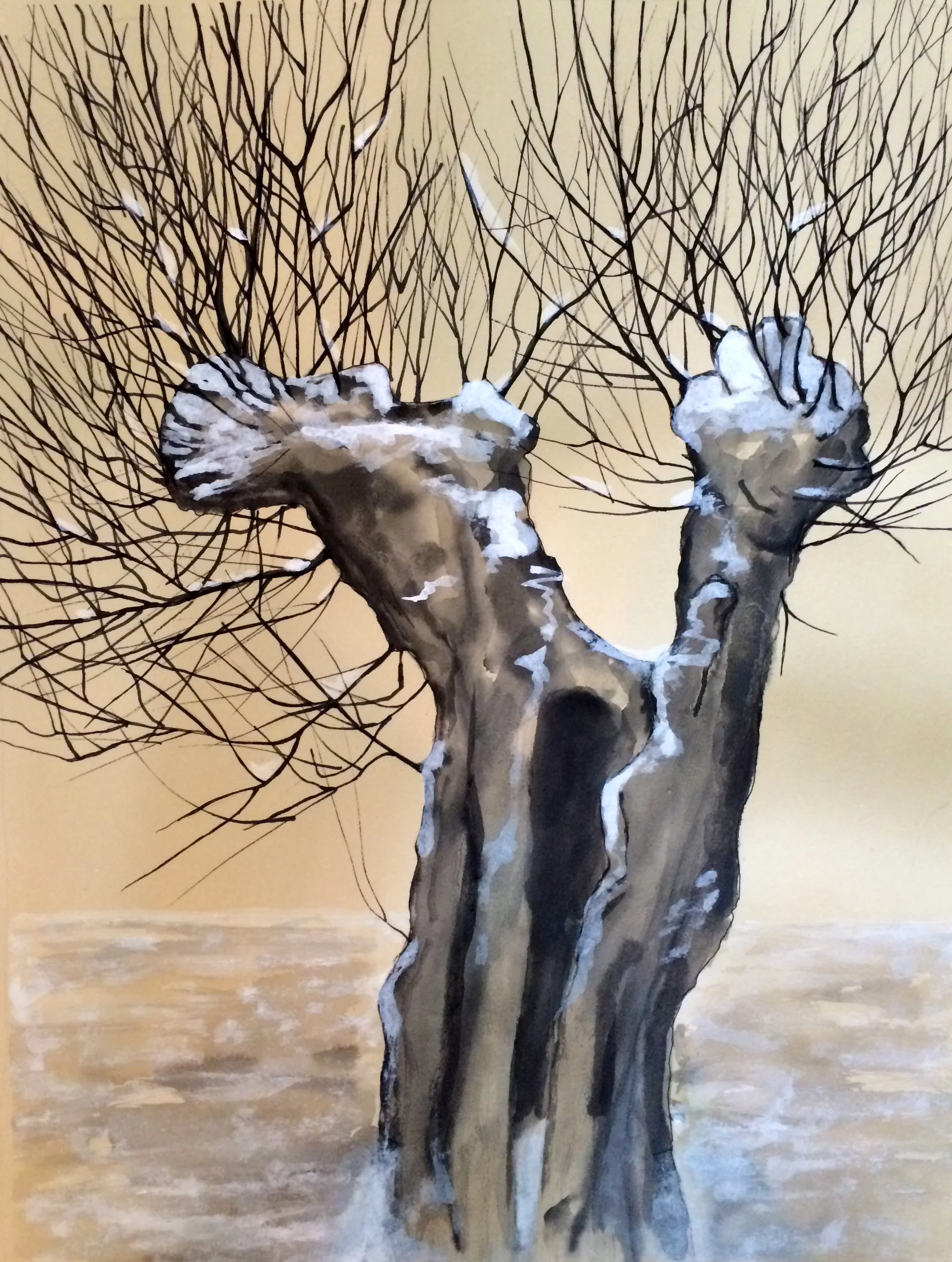 Tree #9