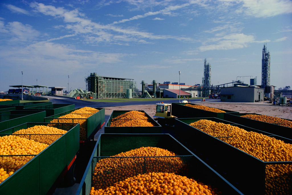 Citrus processing plant.jpg