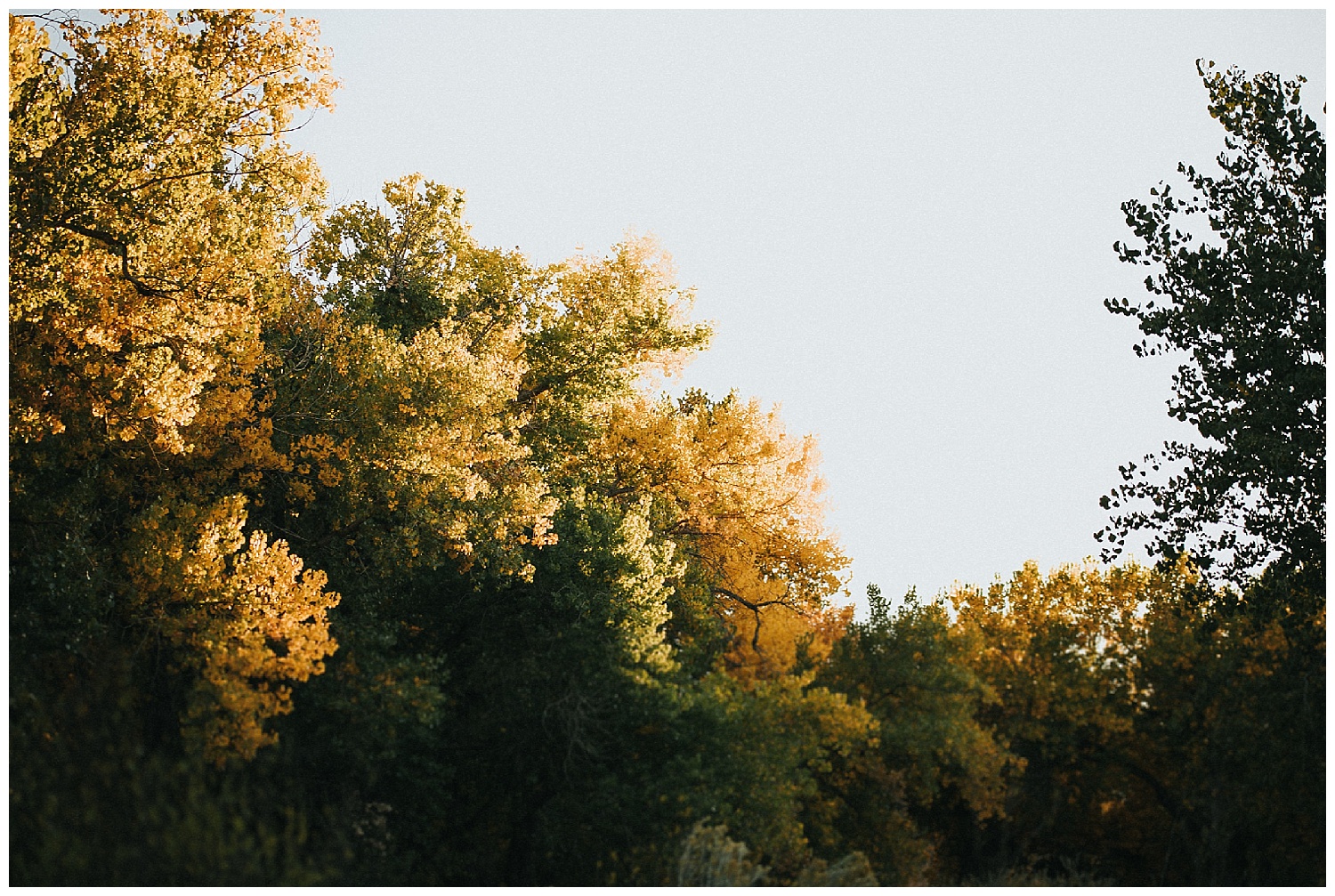 Fall Engagement Session_1194.jpg