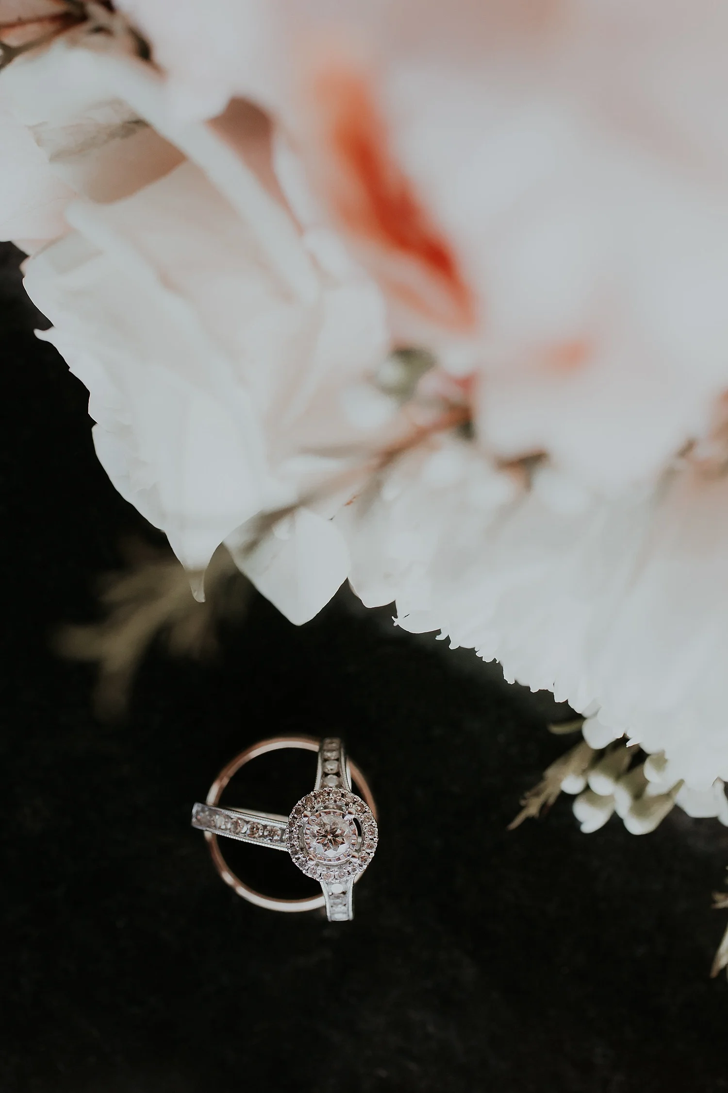 Alicia+lucia+photography+-+albuquerque+wedding+photographer+-+santa+fe+wedding+photography+-+new+mexico+wedding+photographer+-+angel+fire+wedding_0067.jpg