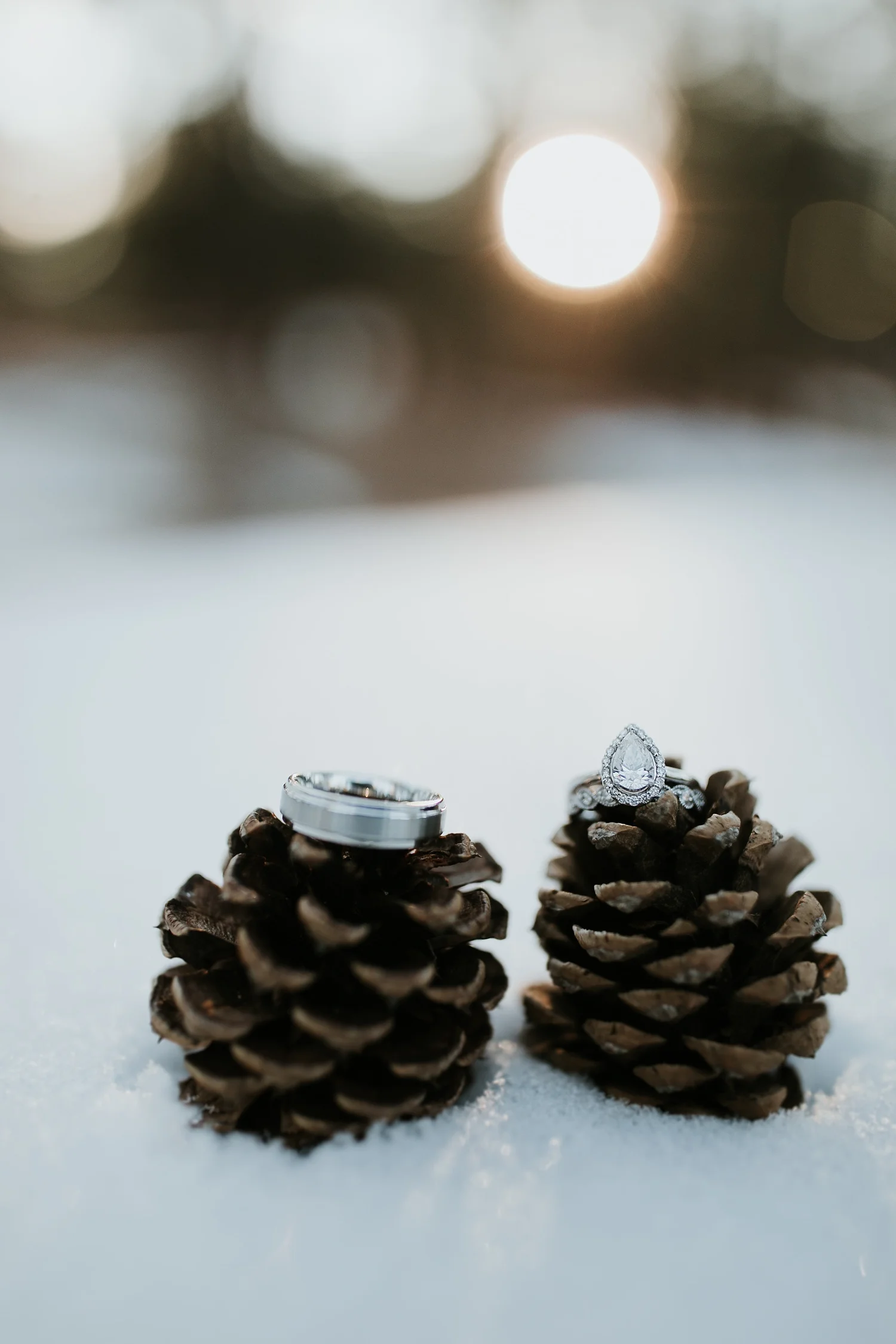 Alicia+lucia+photography+-+albuquerque+wedding+photographer+-+santa+fe+wedding+photography+-+new+mexico+wedding+photographer+-+new+mexico+engagement+-+winter+engagement+session_0012.jpg