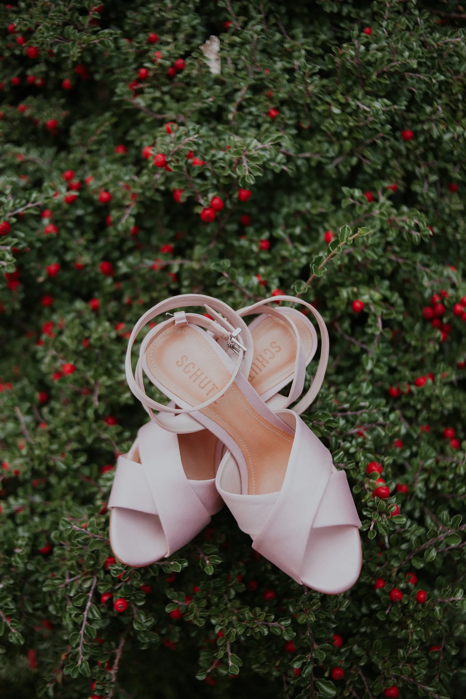 Alicia+lucia+photography+-+albuquerque+wedding+photographer+-+santa+fe+wedding+photography+-+new+mexico+wedding+photographer+-+la+ posada+santa+fe+wedding_0005.jpg