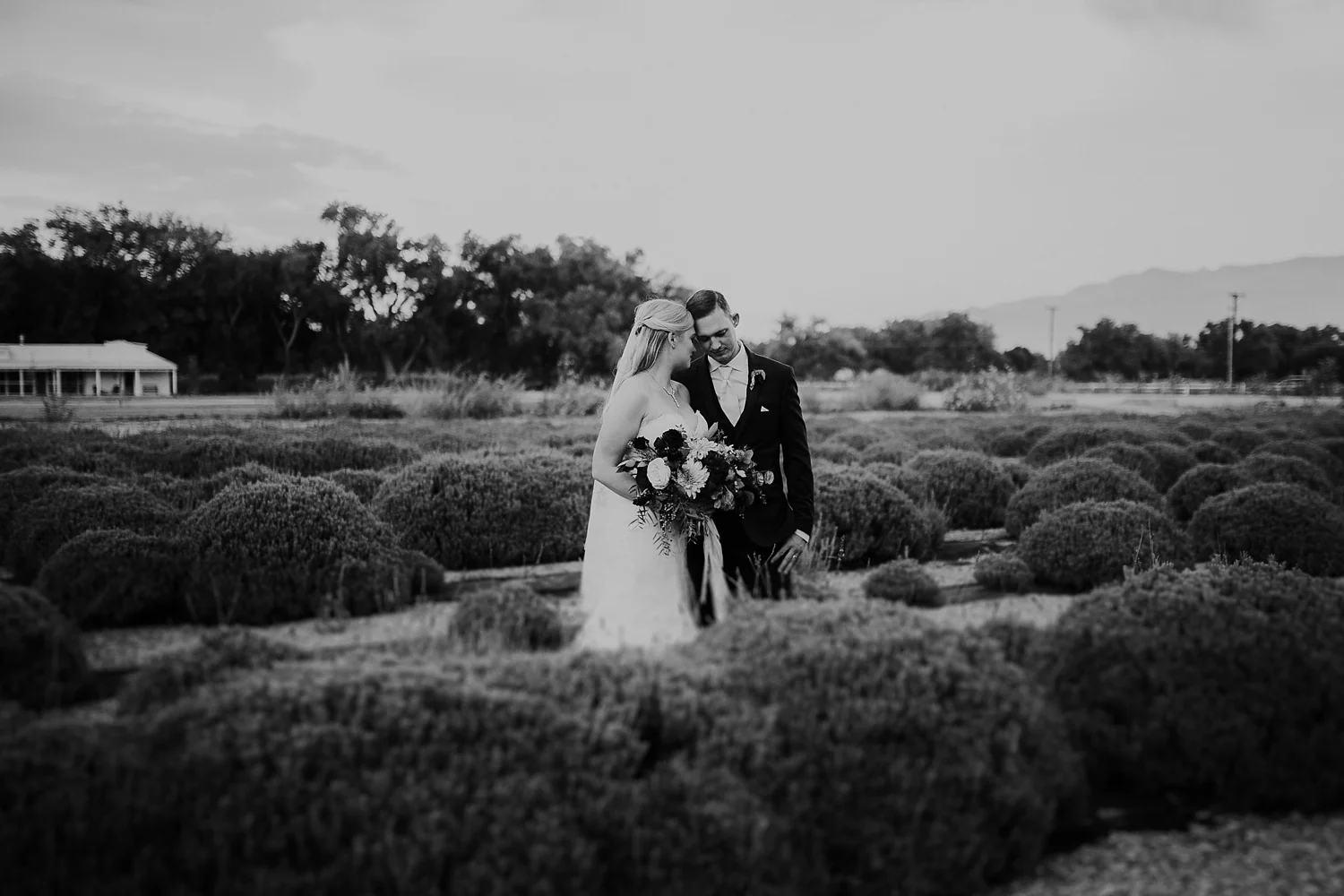 Alicia+lucia+photography+-+albuquerque+wedding+photographer+-+santa+fe+wedding+photography+-+new+mexico+wedding+photographer+-+los+poblanos+wedding+-+los+poblanos+fall+wedding_0071.jpg