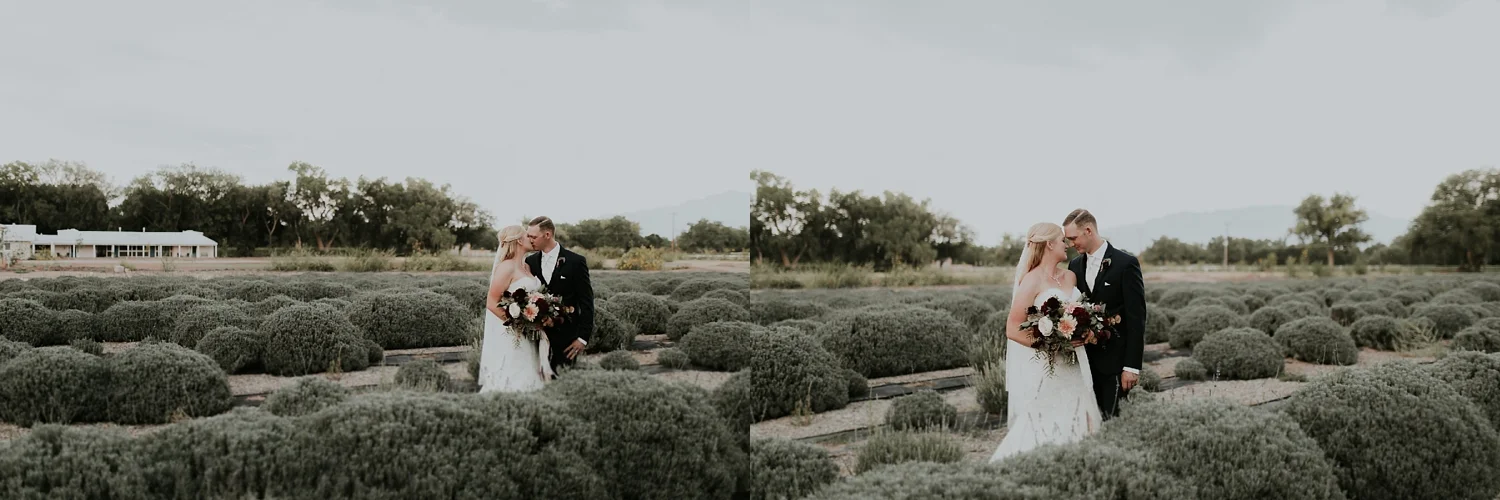 Alicia+lucia+photography+-+albuquerque+wedding+photographer+-+santa+fe+wedding+photography+-+new+mexico+wedding+photographer+-+los+poblanos+wedding+-+los+poblanos+fall+wedding_0074.jpg