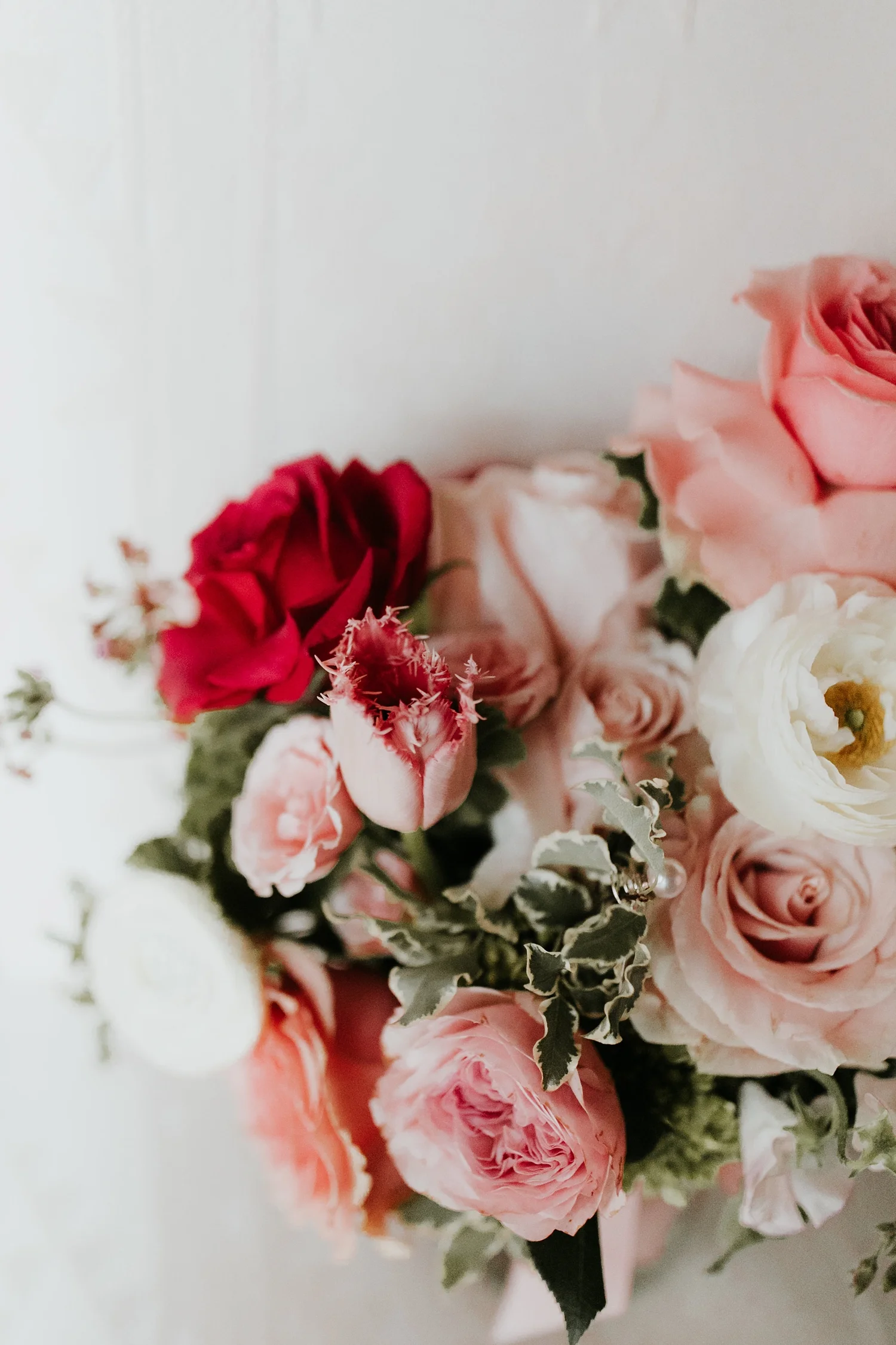Alicia+lucia+photography+-+albuquerque+wedding+photographer+-+santa+fe+wedding+photography+-+new+mexico+wedding+photographer+-+new+mexico+engagement+-+la+mesita+ranch+wedding+-+la+mesita+ranch+spring+wedding_0006.jpg