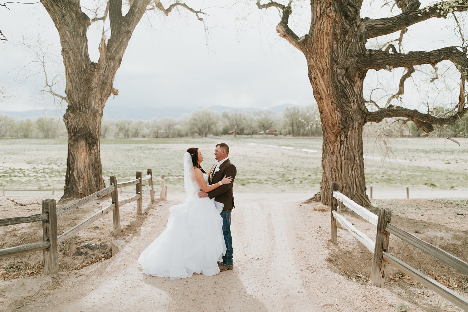 Alicia+lucia+photography+-+albuquerque+wedding+photographer+-+santa+fe+wedding+photography+-+new+mexico+wedding+photographer+-+new+mexico+engagement+-+la+mesita+ranch+wedding+-+la+mesita+ranch+spring+wedding_0063.jpg