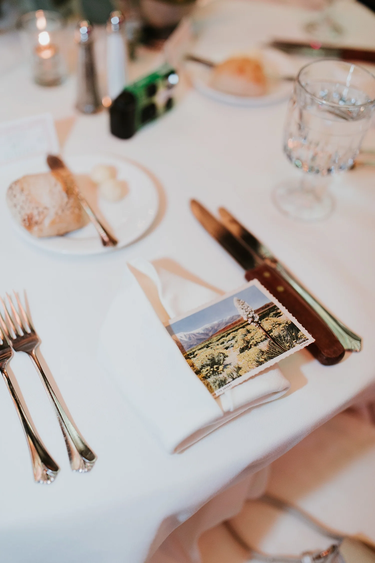 Alicia+lucia+photography+-+albuquerque+wedding+photographer+-+santa+fe+wedding+photography+-+new+mexico+wedding+photographer+-+la+fonda+wedding+-+la+fonda+winter+wedding_0119.jpg