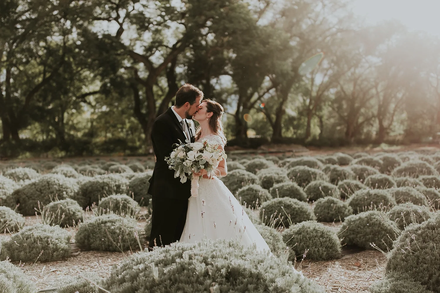 Alicia+lucia+photography+-+albuquerque+wedding+photographer+-+santa+fe+wedding+photography+-+new+mexico+wedding+photographer+-+los+poblanos+albuquerque+wedding+-+natural+toned+los+poblanos+wedding+-+fall+los+poblanos+wedding_0083.jpg