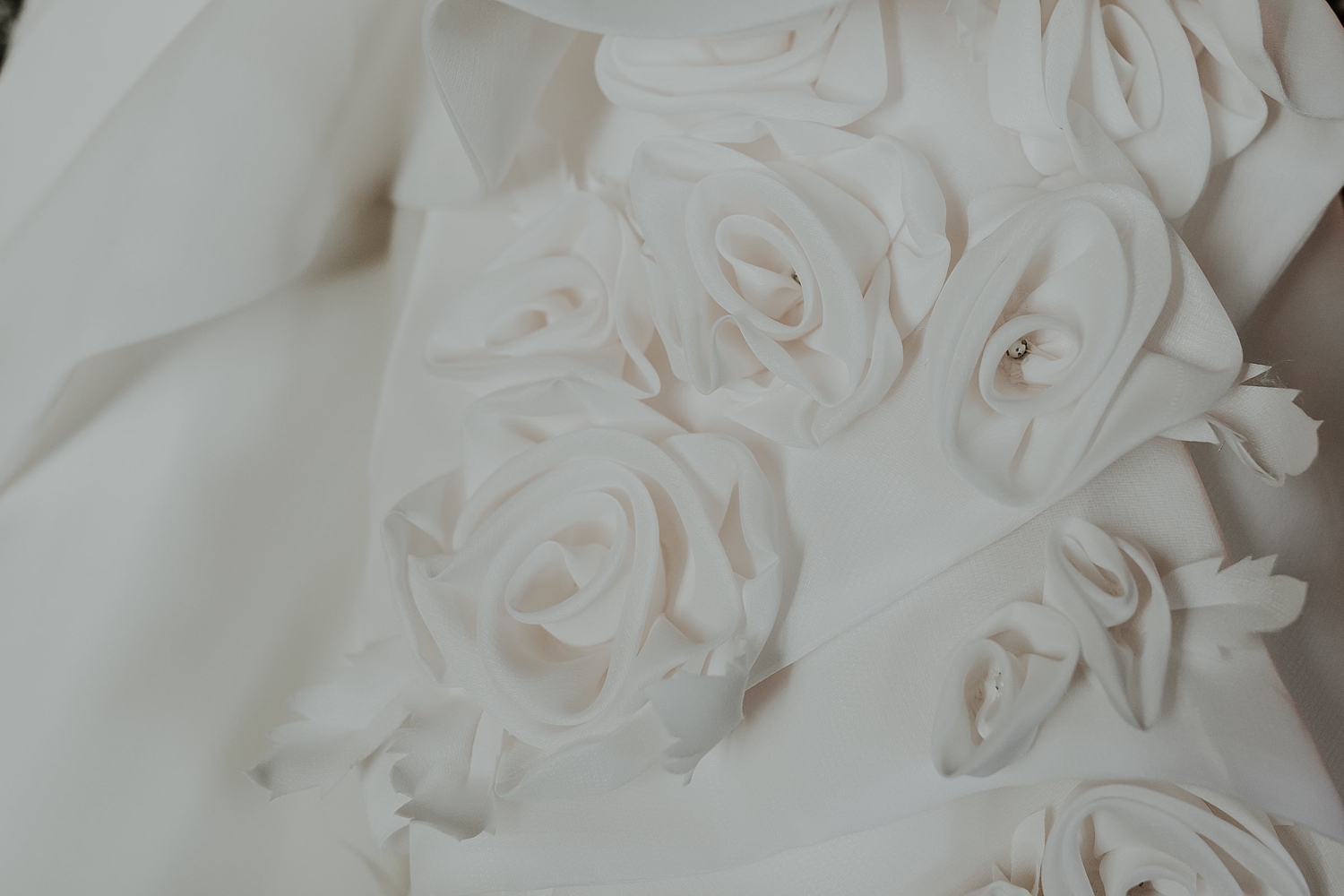Alicia+lucia+photography+-+albuquerque+wedding+photographer+-+santa+fe+wedding+photography+-+new+mexico+wedding+photographer+-+los+poblanos+wedding+-+los+poblanos+fall+wedding+-+los+poblanos+october+wedding_0005.jpg
