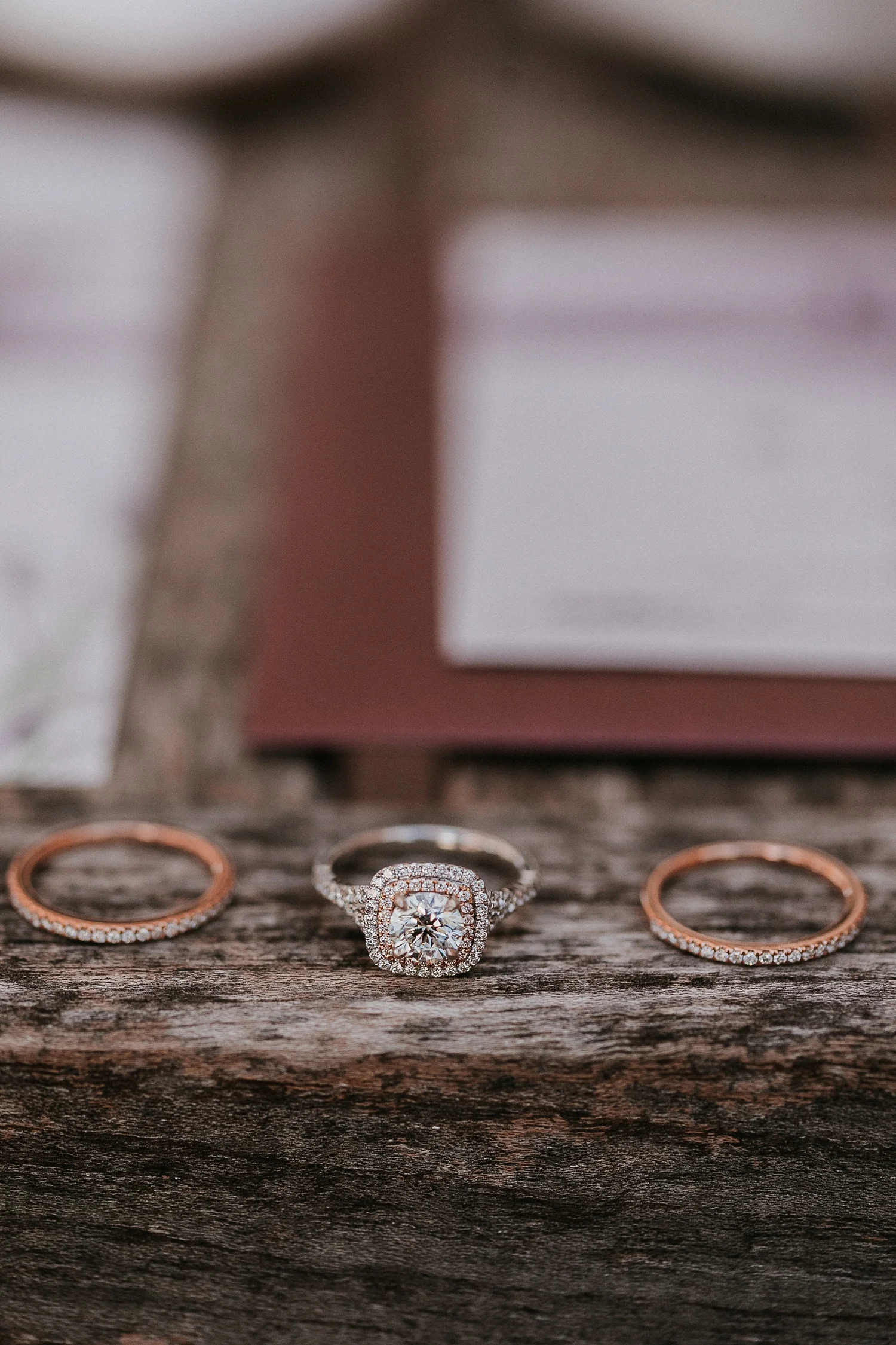 Alicia+lucia+photography+-+albuquerque+wedding+photographer+-+santa+fe+wedding+photography+-+new+mexico+wedding+photographer+-+albuquerque+fall+wedding+-+los+poblanos+albuquerque+-+los+poblanos+wedding+-+los+poblanos+fall+wedding_0006.jpg