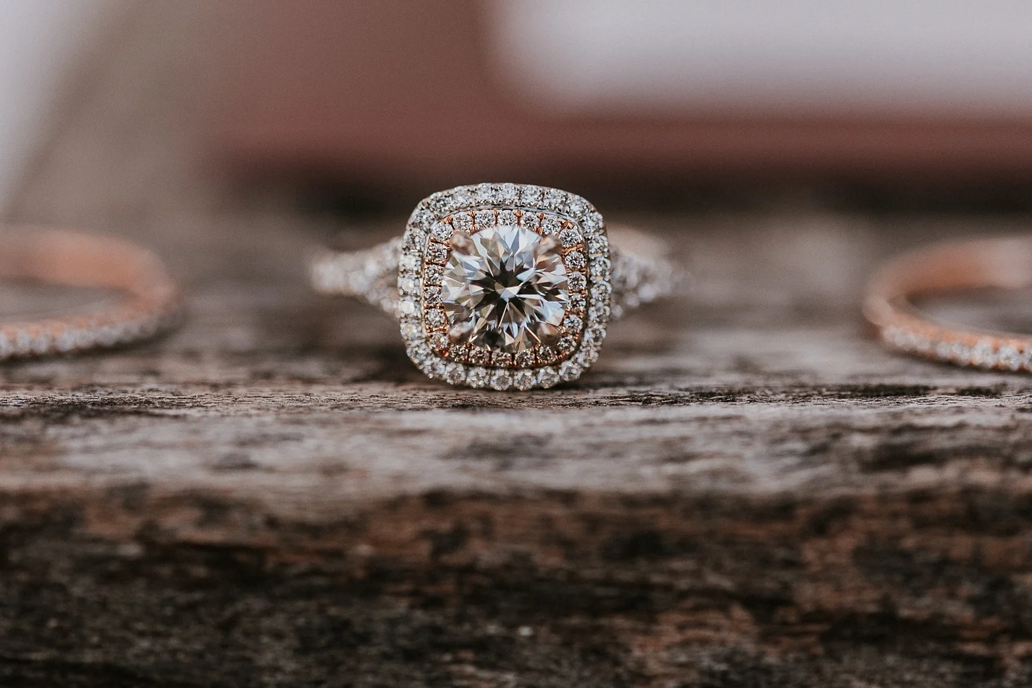 Alicia+lucia+photography+-+albuquerque+wedding+photographer+-+santa+fe+wedding+photography+-+new+mexico+wedding+photographer+-+albuquerque+fall+wedding+-+los+poblanos+albuquerque+-+los+poblanos+wedding+-+los+poblanos+fall+wedding_0008.jpg