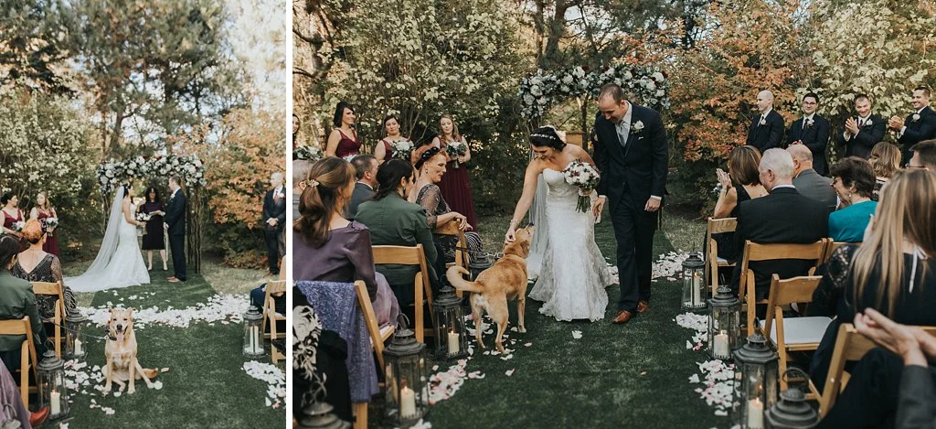 Alicia+lucia+photography+-+albuquerque+wedding+photographer+-+santa+fe+wedding+photography+-+new+mexico+wedding+photographer+-+albuquerque+wedding+-+santa+fe+wedding+-+dogs+in+weddings+-+wedding+dogs+-+real+weddings_0005.jpg