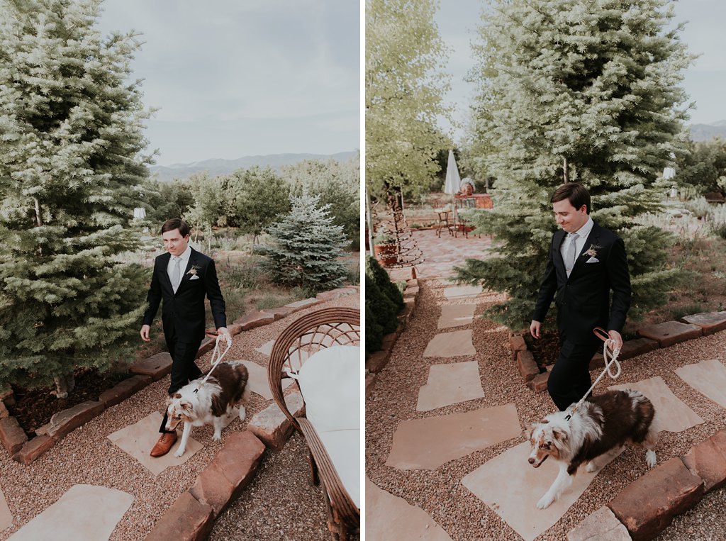 Alicia+lucia+photography+-+albuquerque+wedding+photographer+-+santa+fe+wedding+photography+-+new+mexico+wedding+photographer+-+albuquerque+wedding+-+santa+fe+wedding+-+dogs+in+weddings+-+wedding+dogs+-+real+weddings_0014.jpg