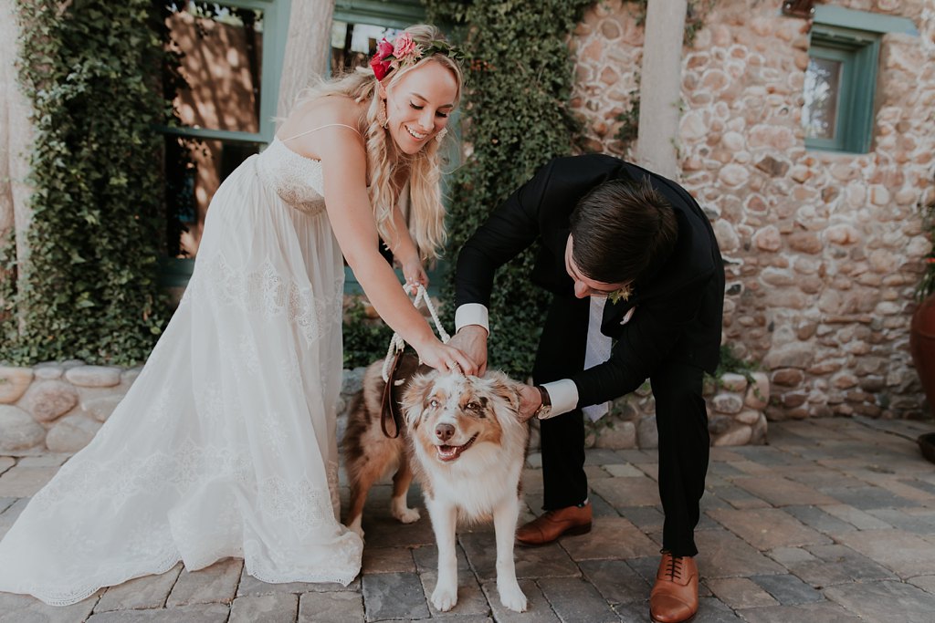 Alicia+lucia+photography+-+albuquerque+wedding+photographer+-+santa+fe+wedding+photography+-+new+mexico+wedding+photographer+-+albuquerque+wedding+-+santa+fe+wedding+-+dogs+in+weddings+-+wedding+dogs+-+real+weddings_0019.jpg