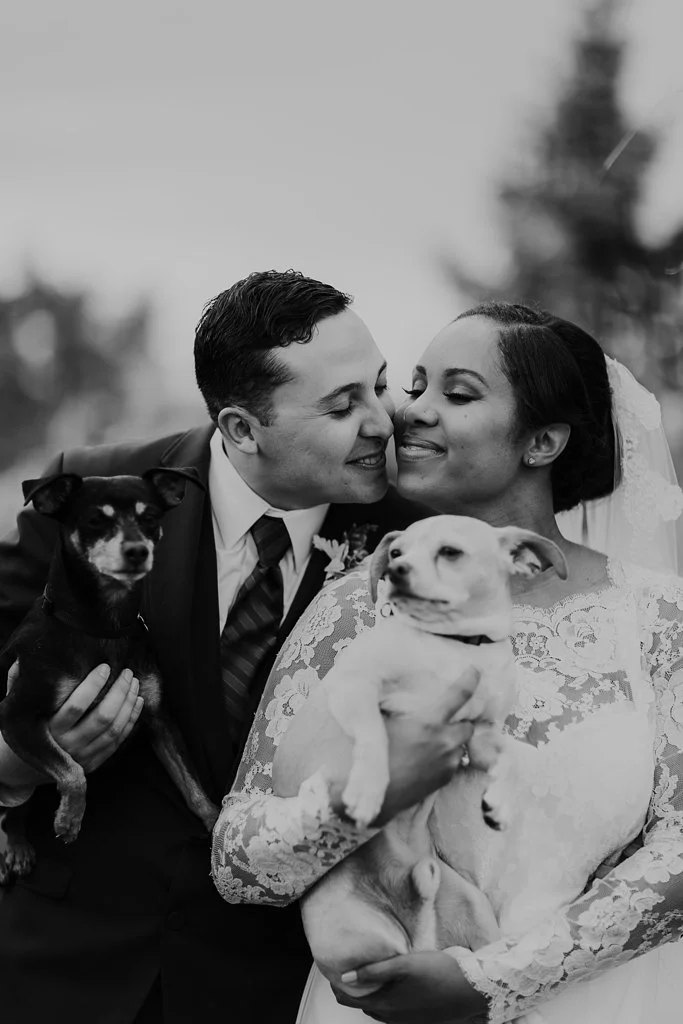 Alicia+lucia+photography+-+albuquerque+wedding+photographer+-+santa+fe+wedding+photography+-+new+mexico+wedding+photographer+-+albuquerque+wedding+-+santa+fe+wedding+-+dogs+in+weddings+-+wedding+dogs+-+real+weddings_0021.jpg