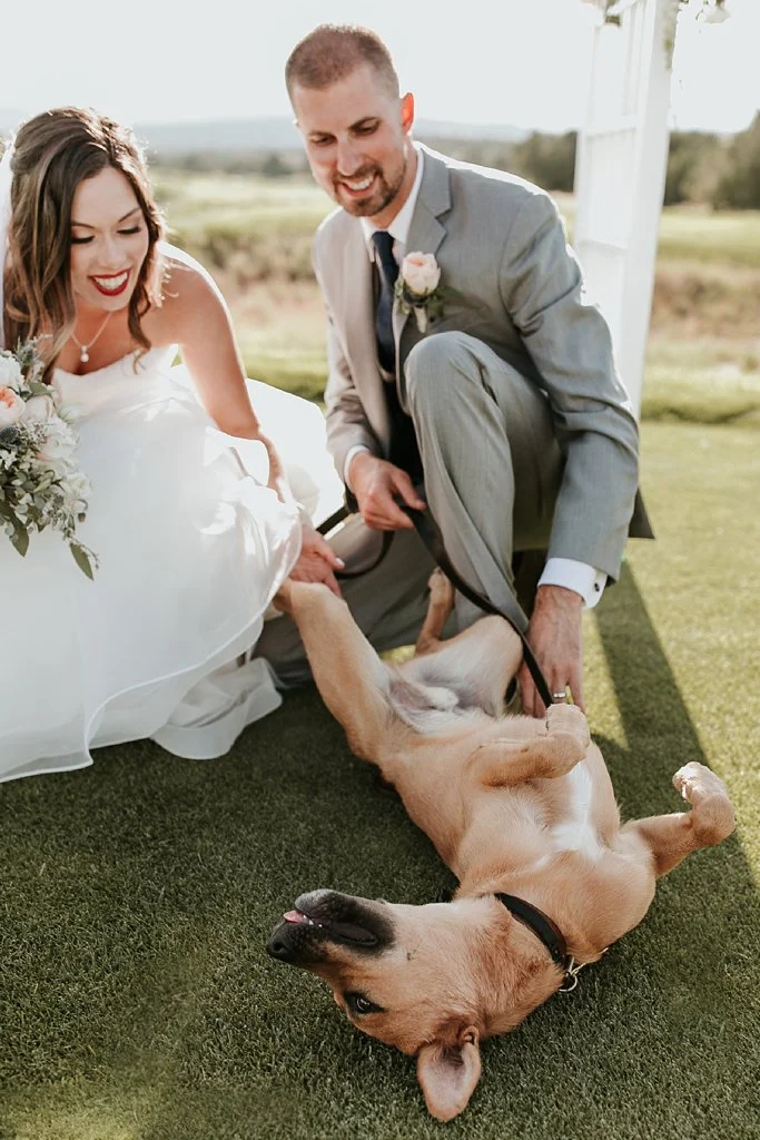 Alicia+lucia+photography+-+albuquerque+wedding+photographer+-+santa+fe+wedding+photography+-+new+mexico+wedding+photographer+-+albuquerque+wedding+-+santa+fe+wedding+-+dogs+in+weddings+-+wedding+dogs+-+real+weddings_0039.jpg
