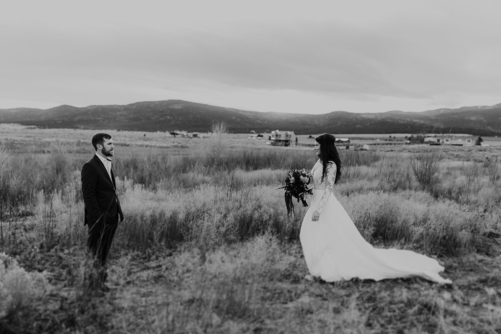 Alicia+lucia+photography+-+albuquerque+wedding+photographer+-+santa+fe+wedding+photography+-+new+mexico+wedding+photographer+-+eagles+nest+new+mexico+-+eagles+nest+wedding+-+eagles+nest+elopement+-+winter+wedding_0035.jpg