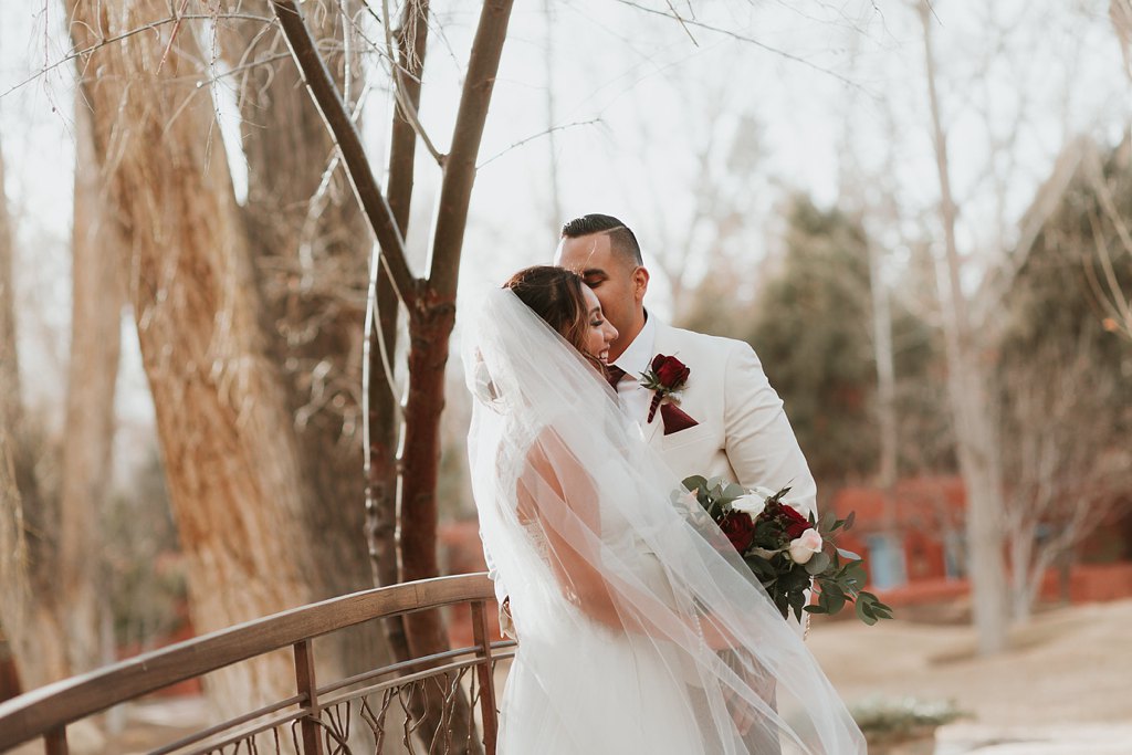 Alicia+lucia+photography+-+albuquerque+wedding+photographer+-+santa+fe+wedding+photography+-+new+mexico+wedding+photographer+-+taos+new+mexico+-+taos+wedding+-+el+monte+sagrado+wedding+-+winter+wedding_0080.jpg