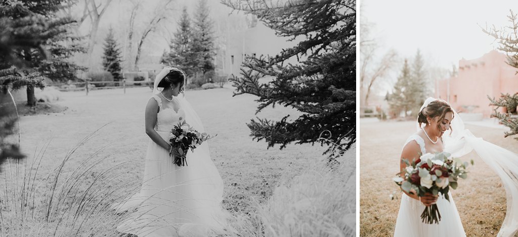 Alicia+lucia+photography+-+albuquerque+wedding+photographer+-+santa+fe+wedding+photography+-+new+mexico+wedding+photographer+-+taos+new+mexico+-+taos+wedding+-+el+monte+sagrado+wedding+-+winter+wedding_0094.jpg