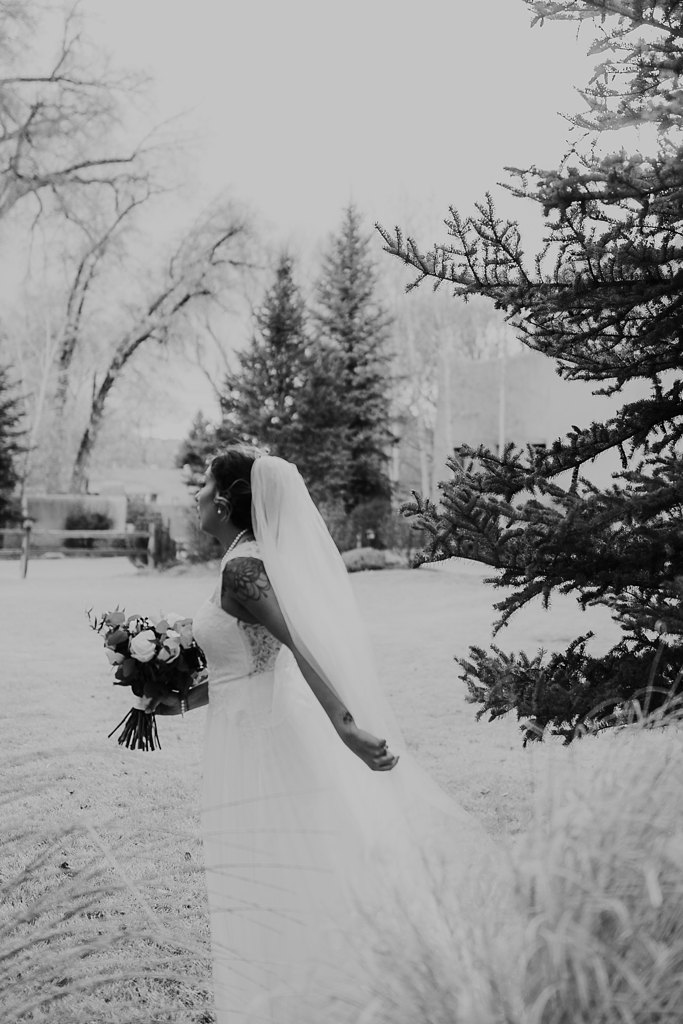 Alicia+lucia+photography+-+albuquerque+wedding+photographer+-+santa+fe+wedding+photography+-+new+mexico+wedding+photographer+-+taos+new+mexico+-+taos+wedding+-+el+monte+sagrado+wedding+-+winter+wedding_0095.jpg