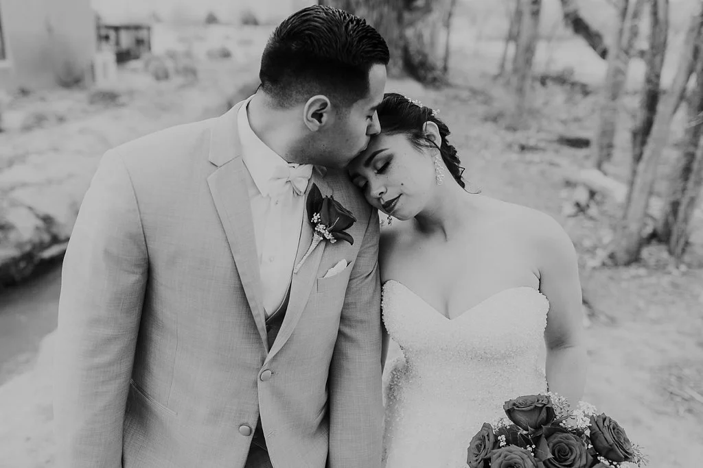 Alicia+lucia+photography+-+albuquerque+wedding+photographer+-+santa+fe+wedding+photography+-+new+mexico+wedding+photographer+-+albuquerque+wedding+-+albuquerque+winter+wedding_0051.jpg