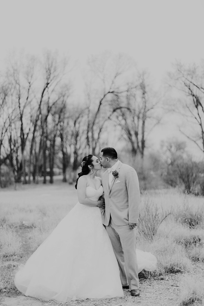 Alicia+lucia+photography+-+albuquerque+wedding+photographer+-+santa+fe+wedding+photography+-+new+mexico+wedding+photographer+-+albuquerque+wedding+-+albuquerque+winter+wedding_0053.jpg