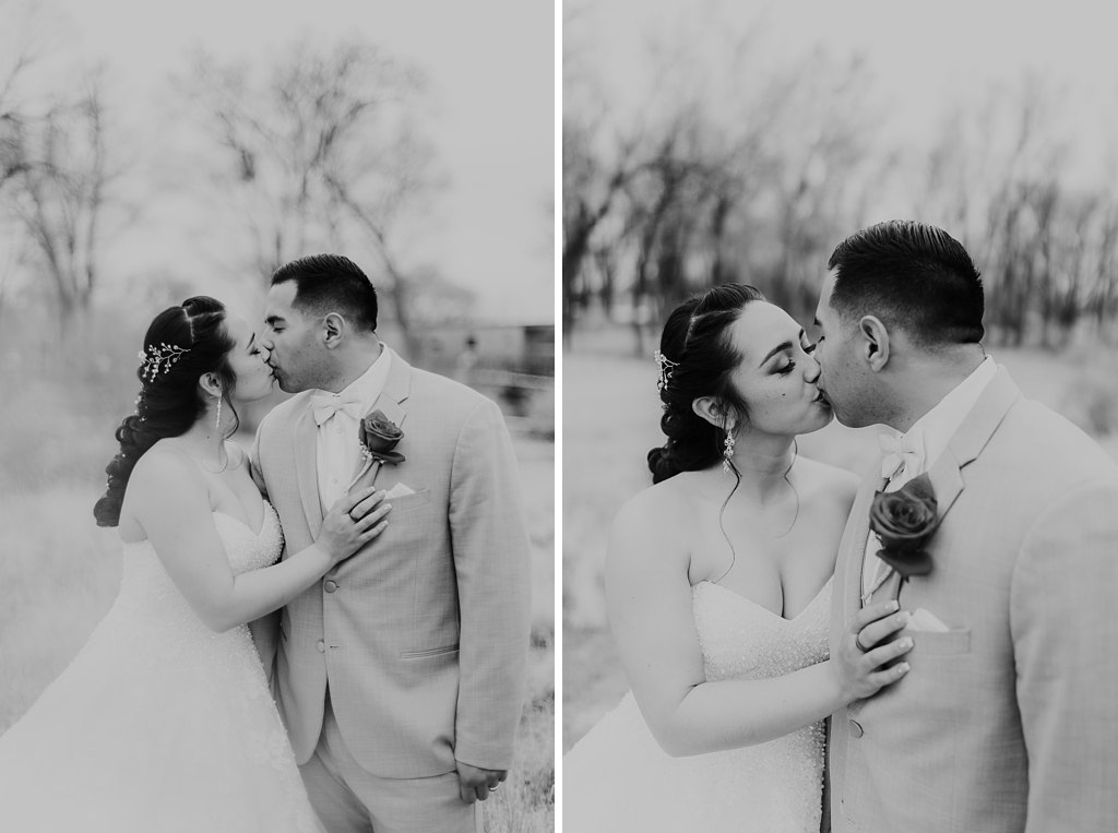 Alicia+lucia+photography+-+albuquerque+wedding+photographer+-+santa+fe+wedding+photography+-+new+mexico+wedding+photographer+-+albuquerque+wedding+-+albuquerque+winter+wedding_0055.jpg