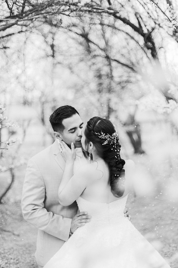 Alicia+lucia+photography+-+albuquerque+wedding+photographer+-+santa+fe+wedding+photography+-+new+mexico+wedding+photographer+-+albuquerque+wedding+-+albuquerque+winter+wedding_0076.jpg