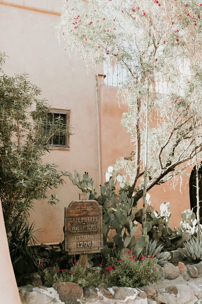 Alicia+lucia+photography+-+albuquerque+wedding+photographer+-+santa+fe+wedding+photography+-+new+mexico+wedding+photographer+-+old+town+albuquerque+wedding+-+el+zocalo+wedding+-+new+mexcio+spring+wedding_0076.jpg
