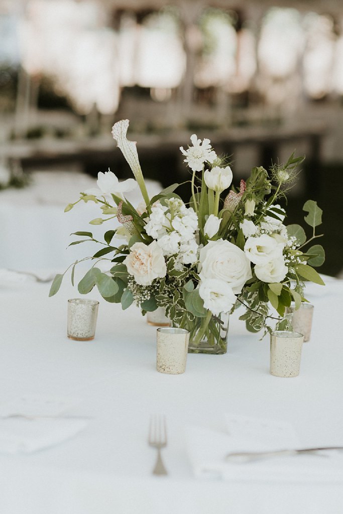 Alicia+lucia+photography+-+albuquerque+wedding+photographer+-+santa+fe+wedding+photography+-+new+mexico+wedding+photographer+-+la+posada+wedding+-+la+posada+summer+wedding_0024.jpg