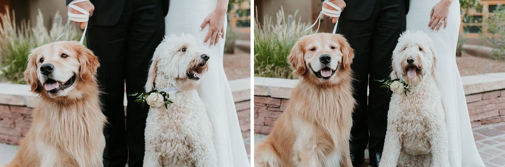 Alicia+lucia+photography+-+albuquerque+wedding+photographer+-+santa+fe+wedding+photography+-+new+mexico+wedding+photographer+-+la+posada+wedding+-+la+posada+summer+wedding_0079.jpg