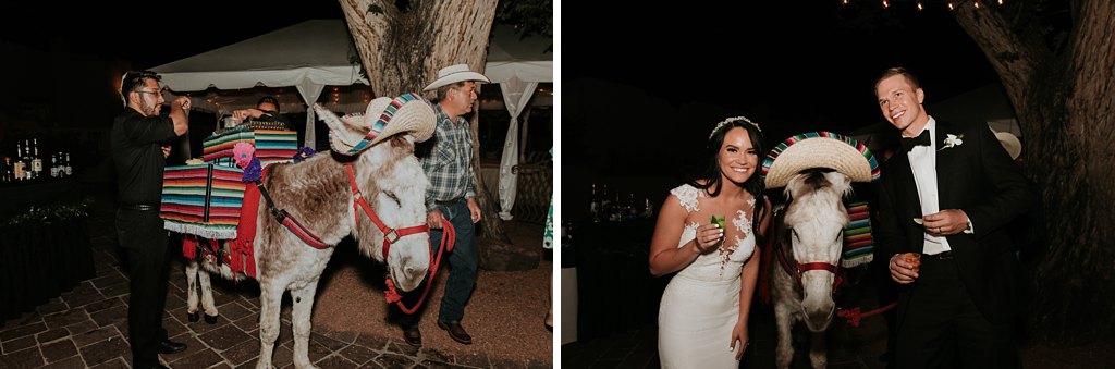 Alicia+lucia+photography+-+albuquerque+wedding+photographer+-+santa+fe+wedding+photography+-+new+mexico+wedding+photographer+-+la+posada+wedding+-+la+posada+summer+wedding_0111.jpg