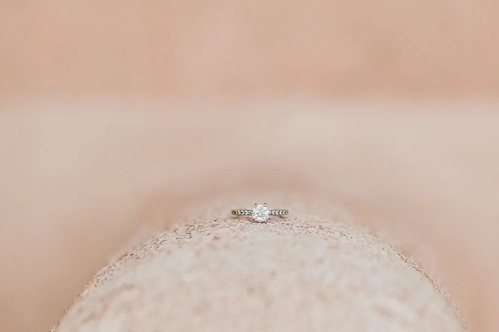 Alicia+lucia+photography+-+albuquerque+wedding+photographer+-+santa+fe+wedding+photography+-+new+mexico+wedding+photographer+-+new+mexico+wedding+-+albuquerque+engagement+-+old+town+albuquerque+engagement+-+ruidoso+wedding_0026.jpg