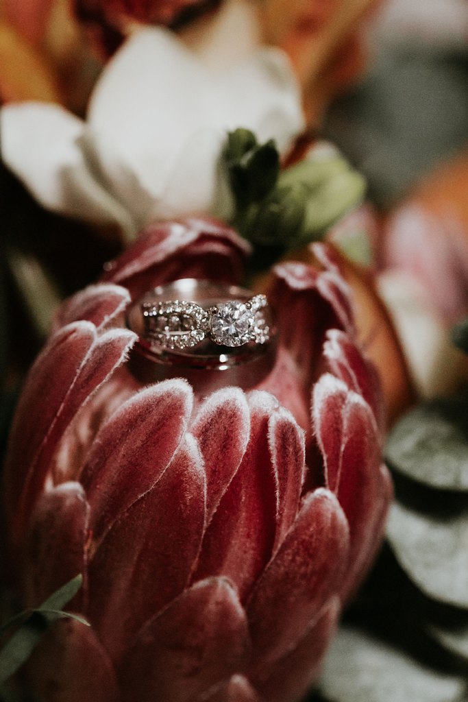 Alicia+lucia+photography+-+albuquerque+wedding+photographer+-+santa+fe+wedding+photography+-+new+mexico+wedding+photographer+-+new+mexico+wedding+-+santa+fe+wedding+-+la+posada+santa+fe+-+la+posada+wedding+-+la+posada+fall+wedding_0006.jpg