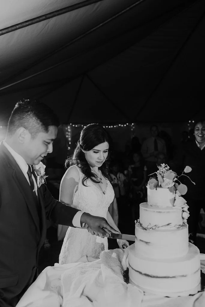 Alicia+lucia+photography+-+albuquerque+wedding+photographer+-+santa+fe+wedding+photography+-+new+mexico+wedding+photographer+-+new+mexico+wedding+-+prairie+star+wedding+-+santa+ana+star+wedding_0105.jpg